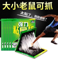 粘鼠板*1 礼品代发 1.3元起